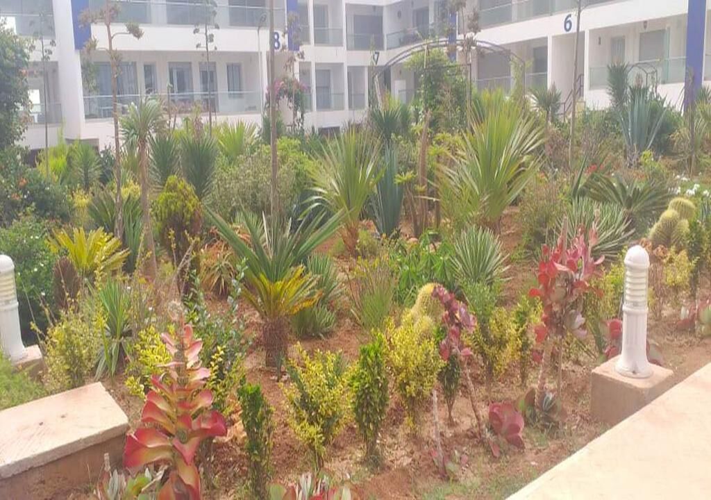 A courtyard with various plants and a building in the background.