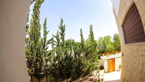 A narrow courtyard with tall evergreen trees, a stone wall, and a wooden door. - Sublime Villa with swimming pool in Illigh Agadir 4906 (Agadir)