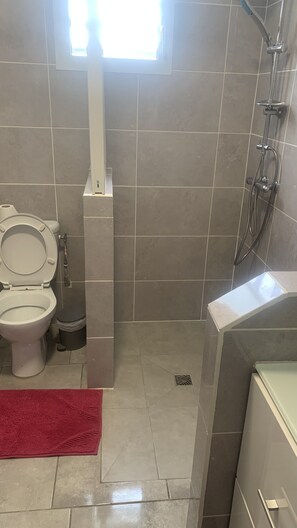 Shower, hair dryer, toilet paper