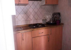 Fridge, stovetop, cookware/dishes/utensils