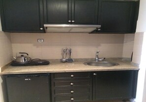 Fridge, stovetop, cookware/dishes/utensils
