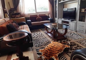 Télévision, cheminée