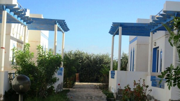 A pathway leading to a building with blue accents and white walls, surrounded by greenery.