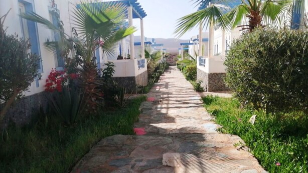 Un sendero de piedra bordeado de vegetación y palmeras que lleva a un edificio con detalles azules.
