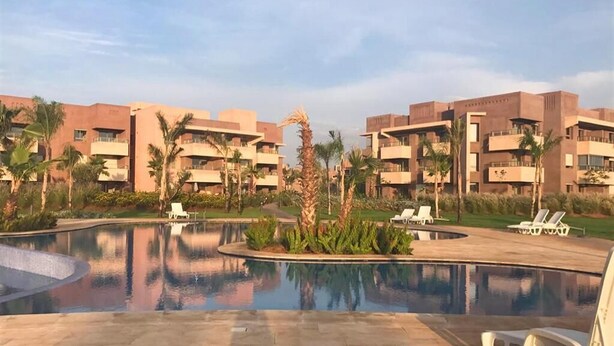 A resort pool area with palm trees and lounge chairs.