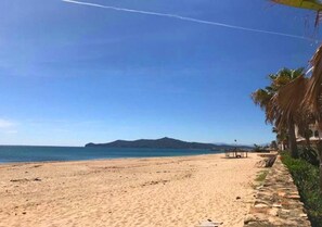 A sandy beach with a clear sky, a stone pathway, and a palm tree.