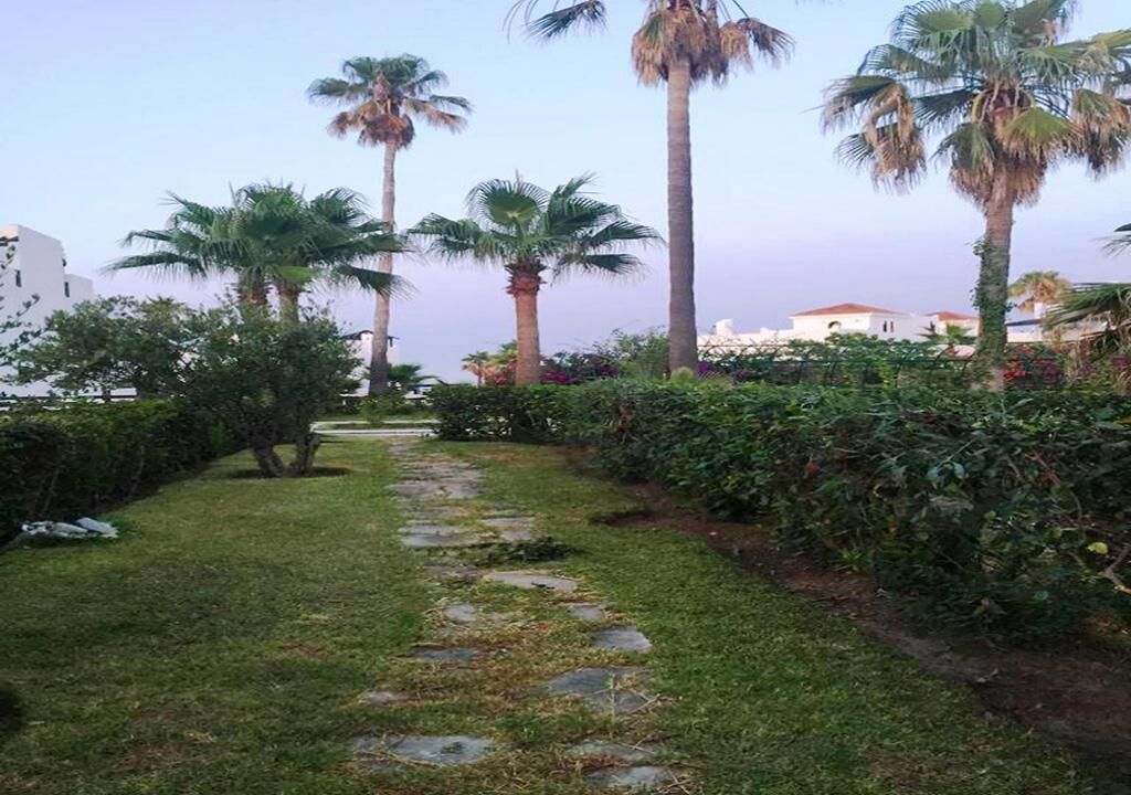 A pathway lined with palm trees and greenery, leading to a building with a white facade.