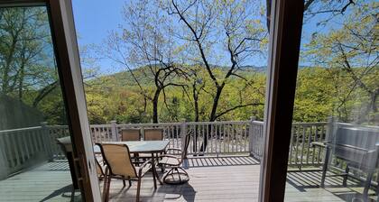 Mountain Home with A/C + Spectacular Views Of Loon