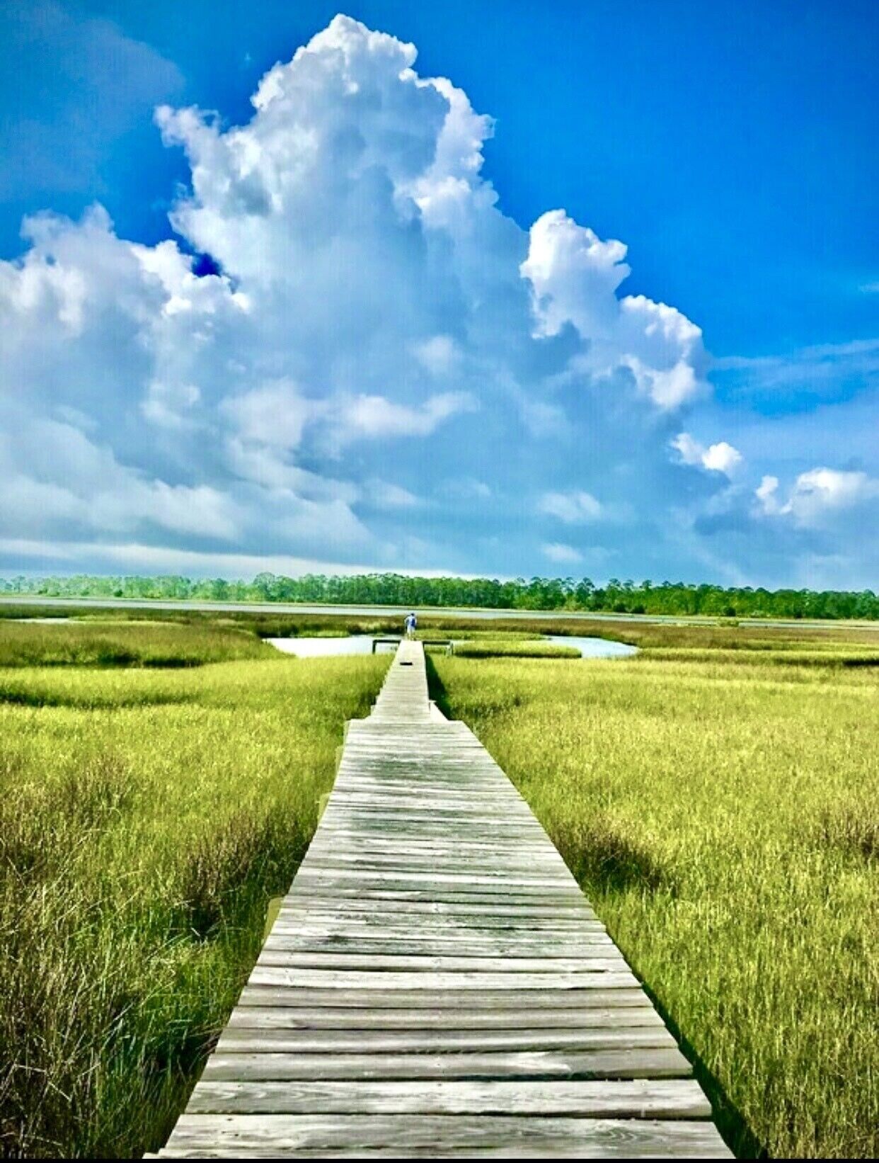 "Hooked on the Bayou.” Waterfront! Kayaks, fishing dock, overlooking the sea