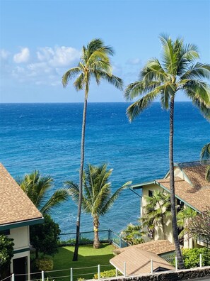 Enjoy breathtaking ocean views from this coastal property surrounded by palm trees and a lush lawn.