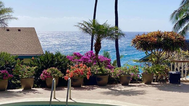 Una piscina con vistas al océano, rodeada de macetas y palmeras.