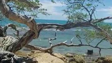 Tæt på stranden, badehåndklæder