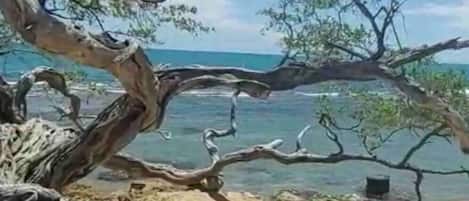 Plage à proximité, serviettes de plage