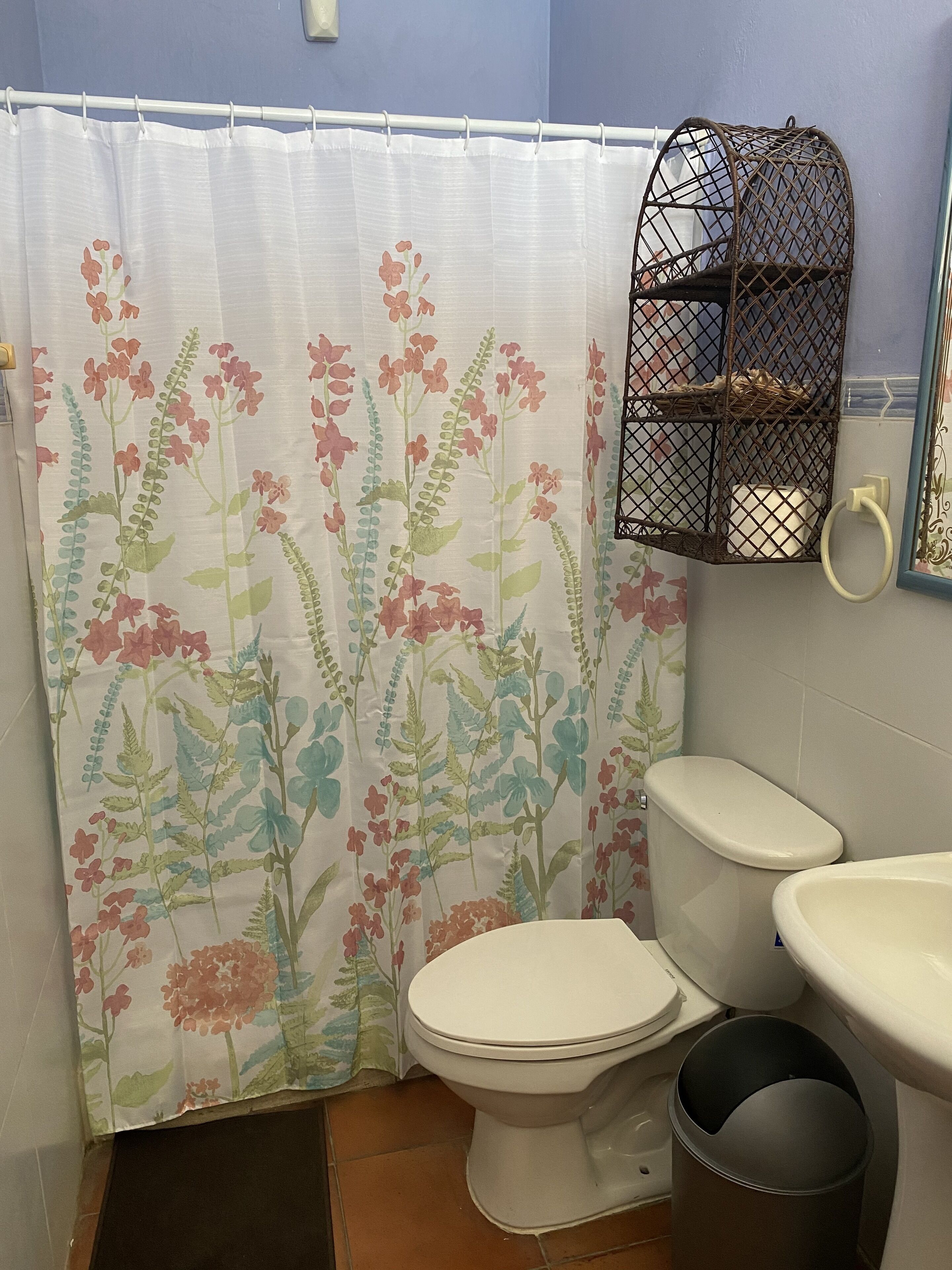 Une salle de bain avec un rideau de douche à motifs floraux, des toilettes, un bidet et une petite poubelle.