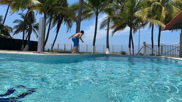 A swimming pool with clear blue water, surrounded by palm trees and a fence.