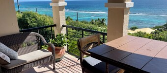 Stunning Paradise Overlook - Incredible Views from Every Room