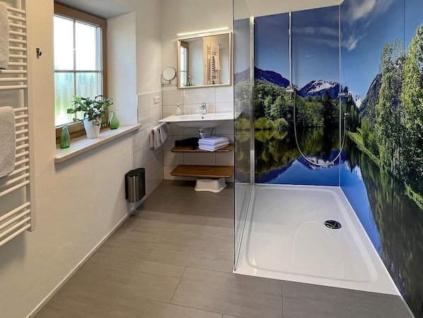 Shower, hair dryer, towels