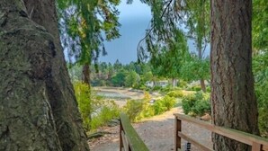 Una terraza de madera que conduce a un área natural con árboles y vistas a un lago.