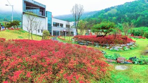 A modern hotel with a glass facade, surrounded by lush greenery and vibrant red foliage.