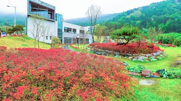 Jardín