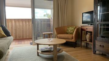 Smart-TV, Kamin