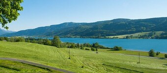 Sommerholz - Roiderhof am Irrsee