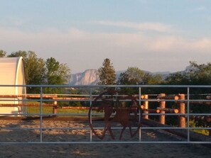 Unclassified image, 2 of 31, button