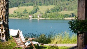 Puuinen tuoli, jossa on valkoinen tyyny, sijaitsee järven rannalla, vehreyden ja puun ympäröimänä.