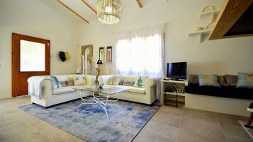 Télévision, cheminée