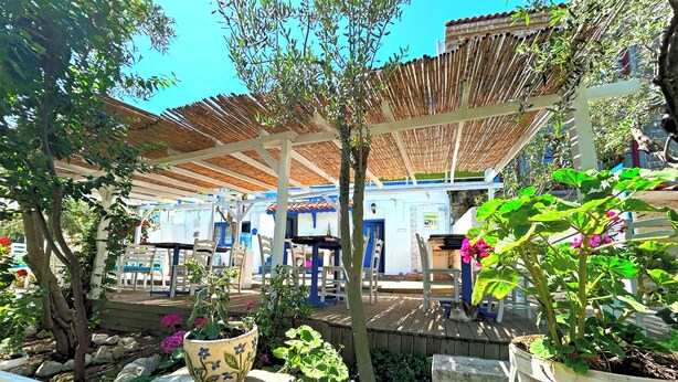 An outdoor patio area with wooden tables and chairs, surrounded by potted plants and trees. - Umut Denizi Konukevi (Bozcaada)