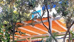 A garden with a pond, various plants, and a building with a tiled roof in the background. - Umut Denizi Konukevi (Bozcaada)