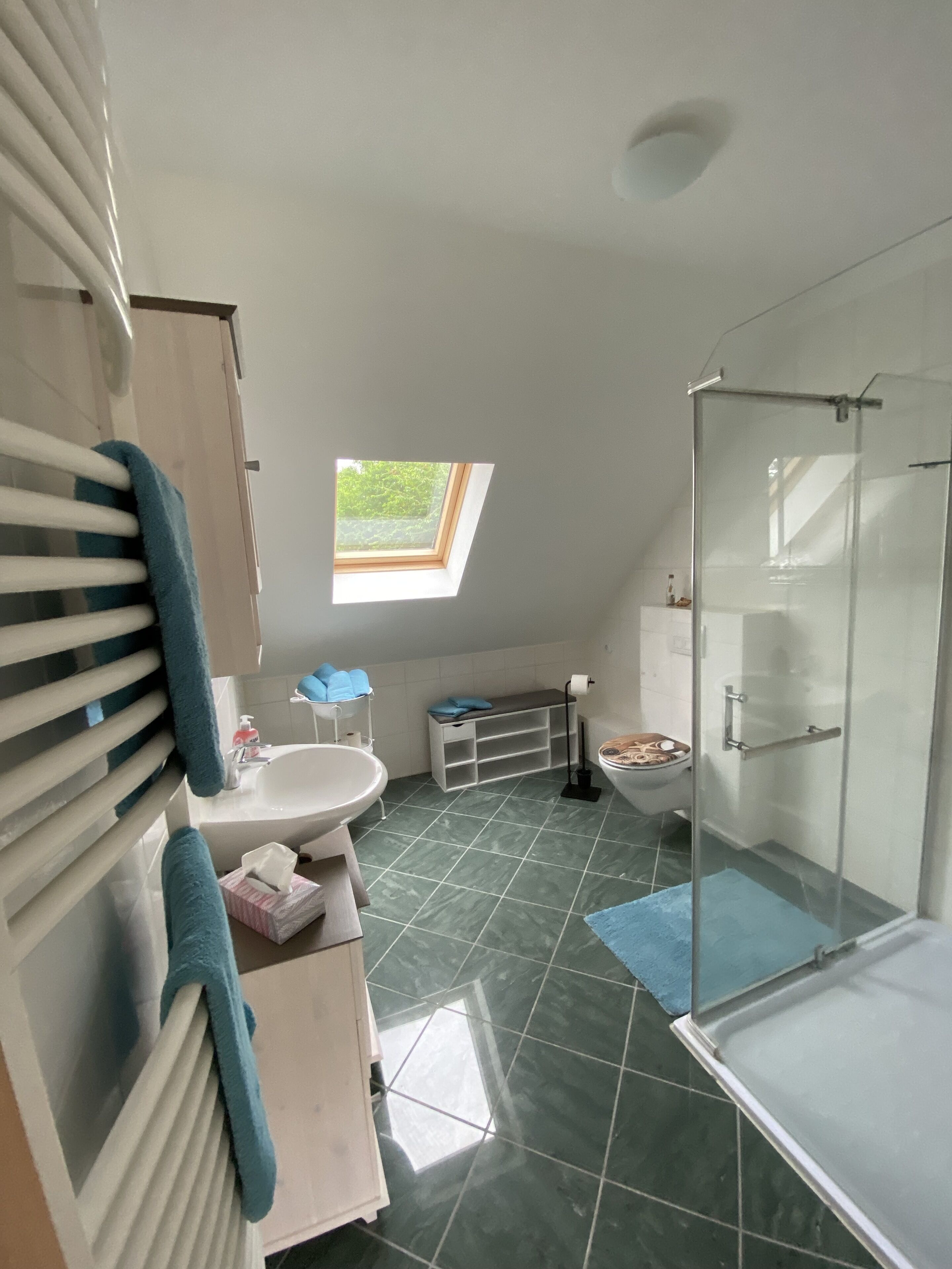 Dusche, Haartrockner, Handtücher, Seife