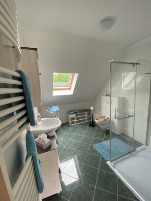 Shower, hair dryer, towels, soap