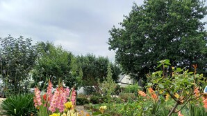 A garden with various flowering plants and trees. - Jolie Maison Neuve, Très Bien Exposée, au Calme, Jardin, Terrasse (Sainte-Hélène)