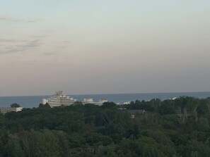 Um hotel à beira-mar com vários edifícios, rodeado por vegetação densa.