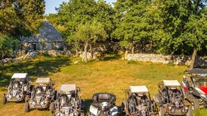 Una fila de vehículos todo terreno aparcados en un campo cubierto de hierba, con árboles y un edificio de piedra al fondo.