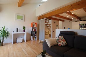 Televisio, takka, DVD-soitin, kirjoja