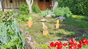 Terrein van de accommodatie