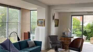 Télévision, cheminée, lecteur de DVD, livres