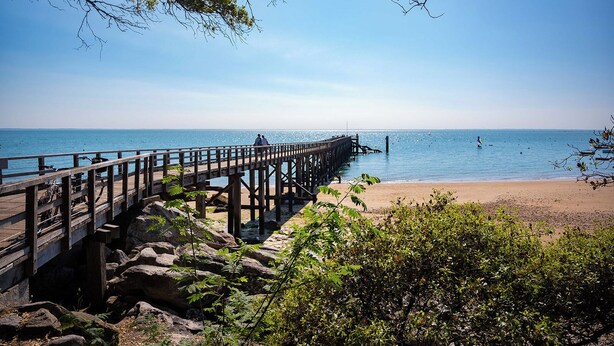 Eine Holzstege in ruhiges Wasser ragend, ein Sandstrand und dichtes Grün.