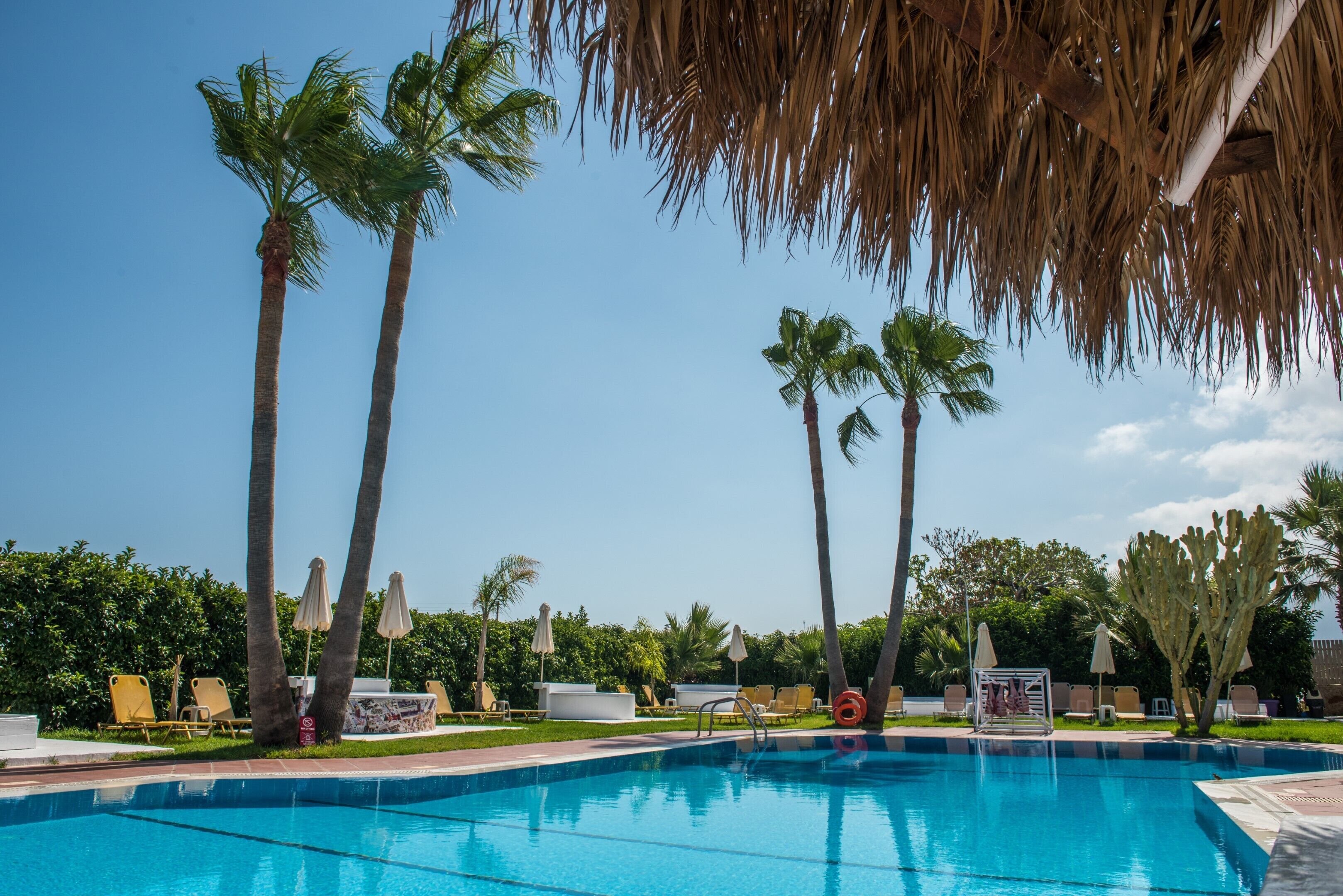 Seasonal outdoor pool, pool umbrellas, sun loungers