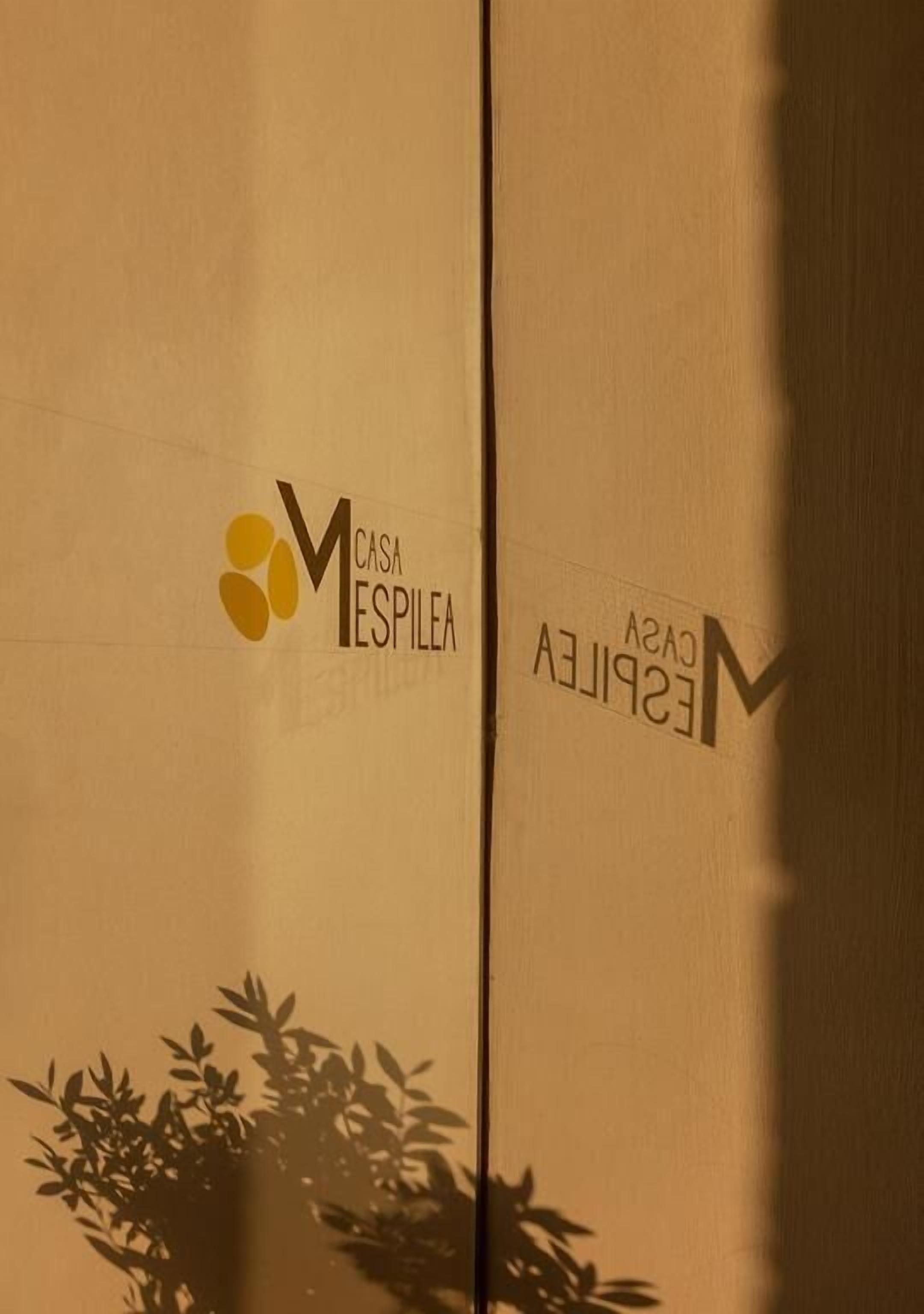 Foto - Casa Mespilea