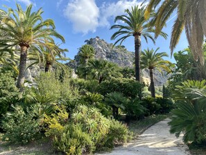 A pathway surrounded by lush greenery and palm trees, leading towards a mountainous backdrop. - Le Garavan: Terrasse Sud, Jardin,piscine Privée,500m des Plages par Chemin Privé (Menton)