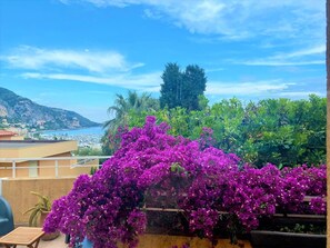 Property grounds - Le Garavan: Terrasse Sud, Jardin,piscine Privée,500m des Plages par Chemin Privé (Menton)