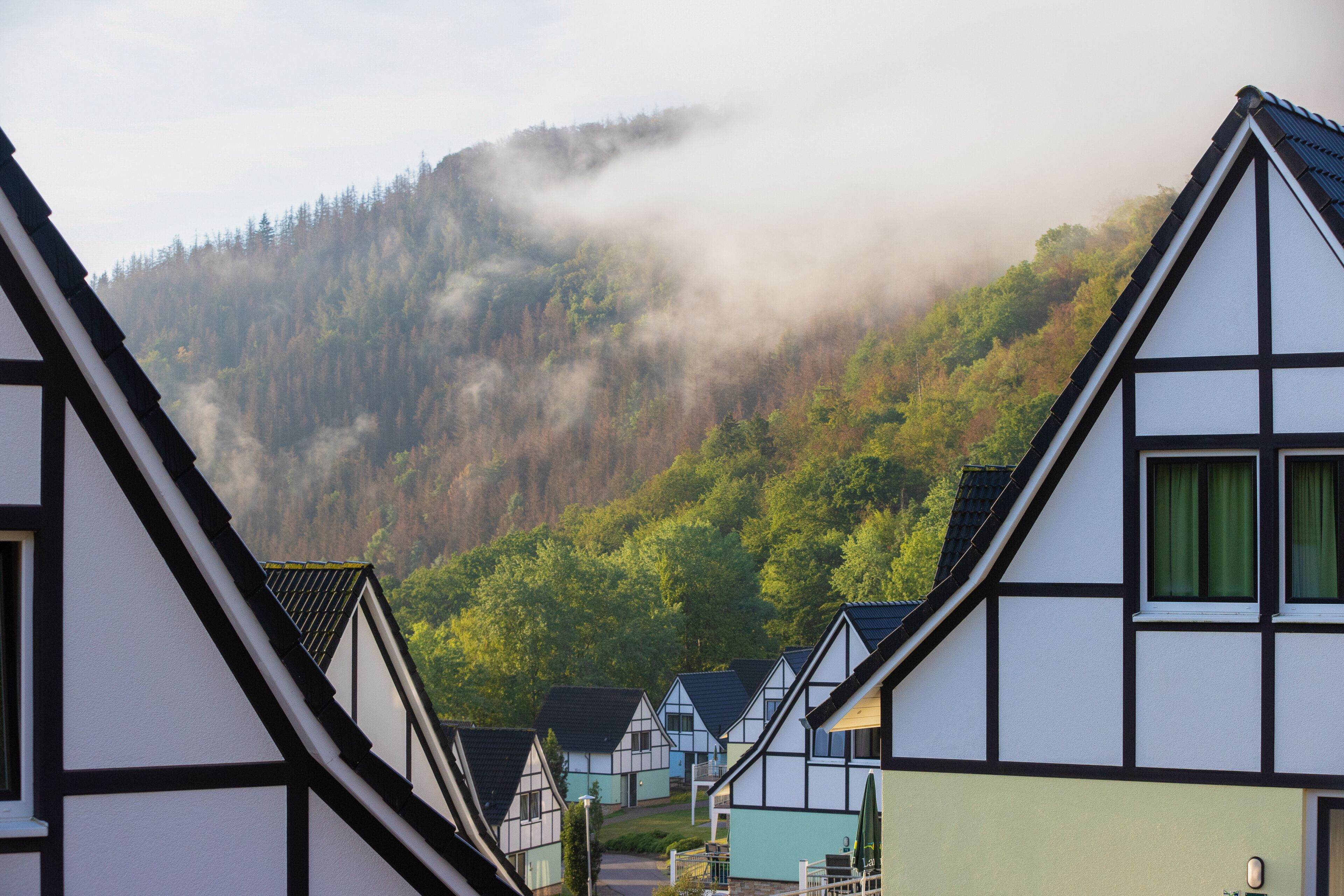 Een rij traditionele vakwerkhuizen met steile daken, gelegen voor een beboste heuvel in de mist.