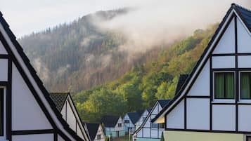 Een rij traditionele vakwerkhuizen met steile daken, gelegen voor een beboste heuvel in de mist.