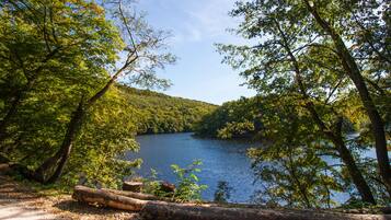 A natural landscape with a lake surrounded by dense trees and a dirt path.