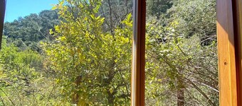 Unique Wood  Villa and Breakfast