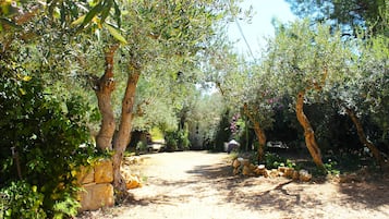 Jardines del alojamiento