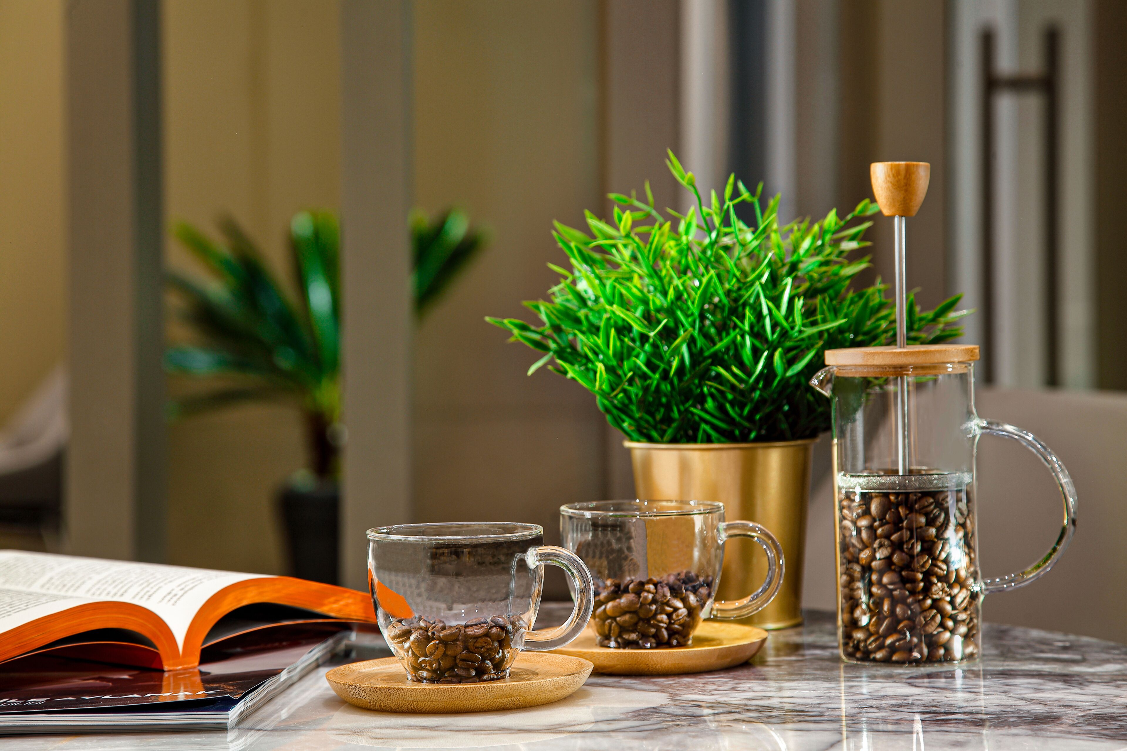 Une table avec une machine à café, deux verres, un livre et une plante en pot.